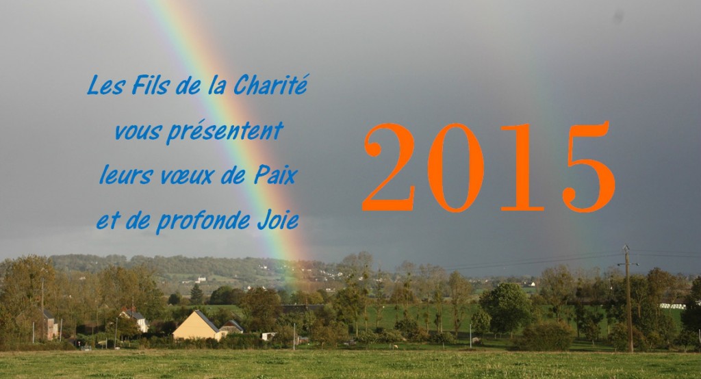 Voeux pour 2015