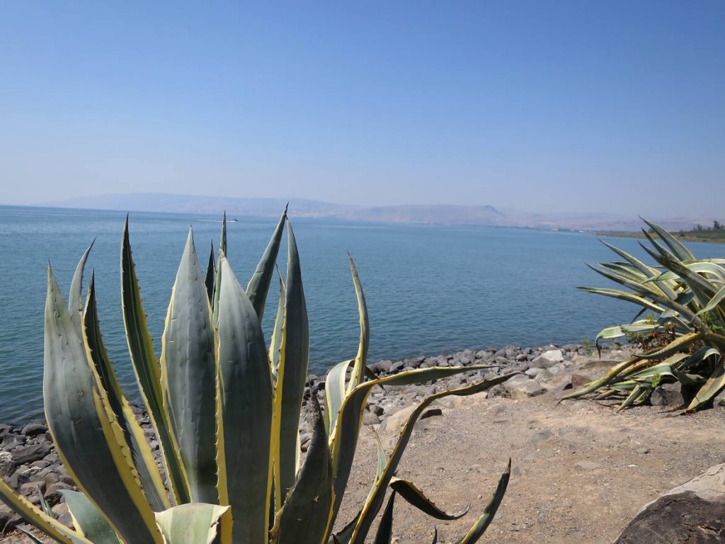 Voyage de la Fraternité et de la Solidarité en Terre Sainte