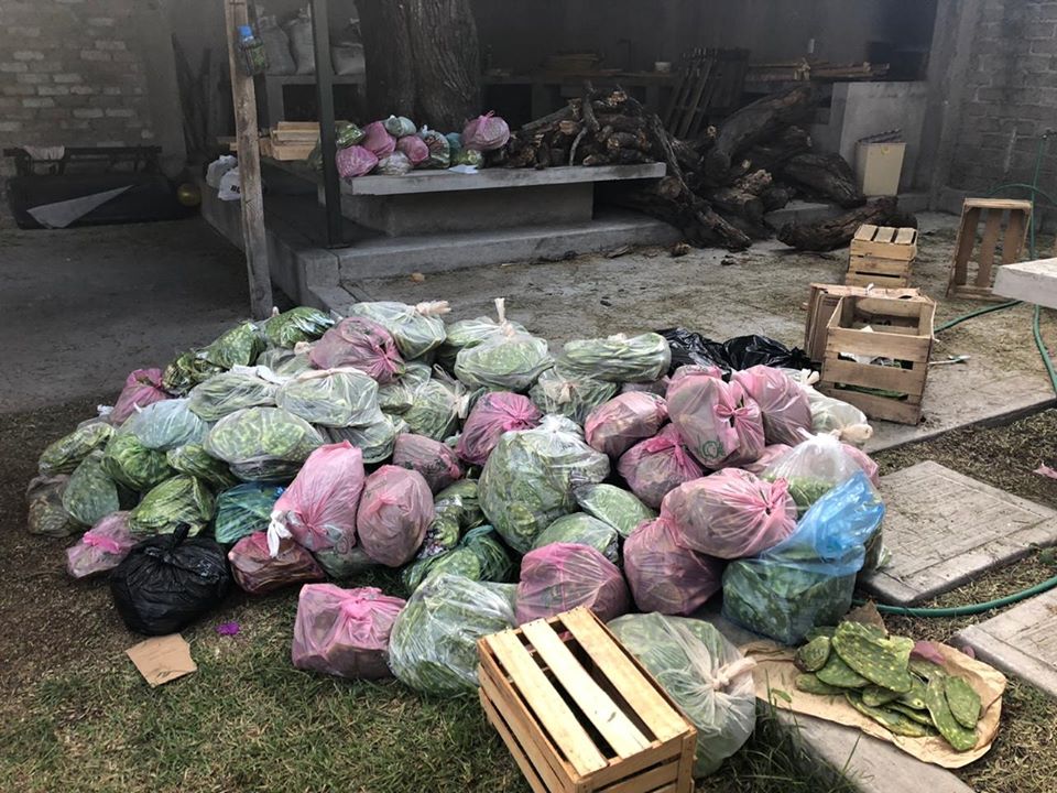 Solidarité alimentaire suite au Covid-19 au Mexique le 6 avril 2020
