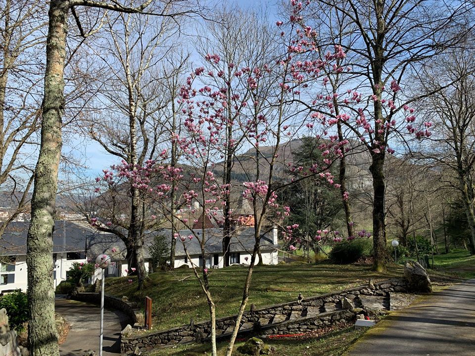 Confinement et Semaine sainte 2020 à la cité Saint Pierre à Lourdes