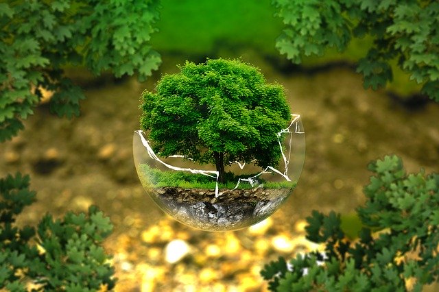 environmental-protection de ejaugsburg par Pixabay