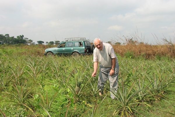Visite de Gérard Simon dans un champ d'ananas, juin 2010, crédit : Jean-Fulbert Malanda
