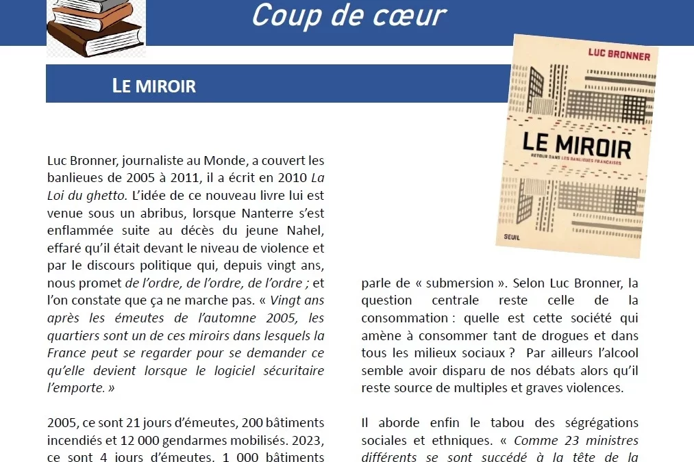 Le miroir par Luc Bronner