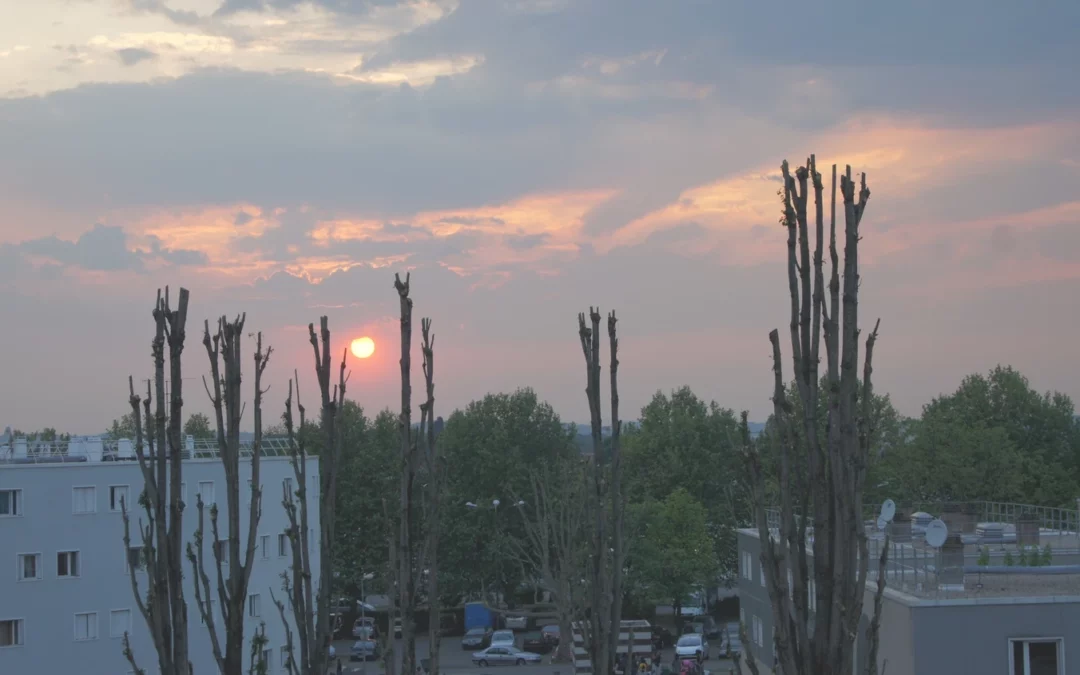 Banlieues et cités : les solidarités des quartiers populaires